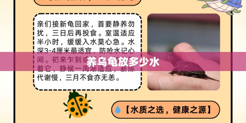 养乌龟放多少水