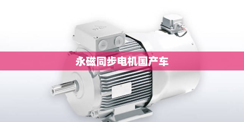 永磁同步电机国产车 永磁同步电机国产车