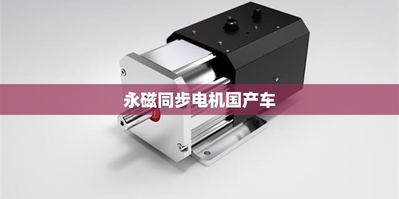 永磁同步电机国产车 永磁同步电机国产车