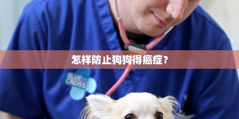 怎样防止狗狗得癌症？