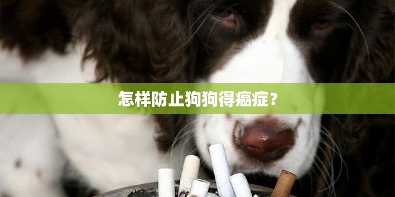 怎样防止狗狗得癌症？