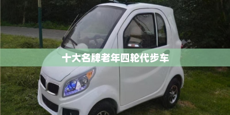 十大名牌老年四轮代步车