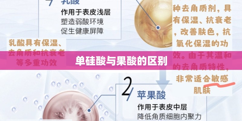 单硅酸与果酸的区别