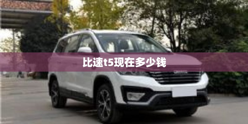 比速t5现在多少钱