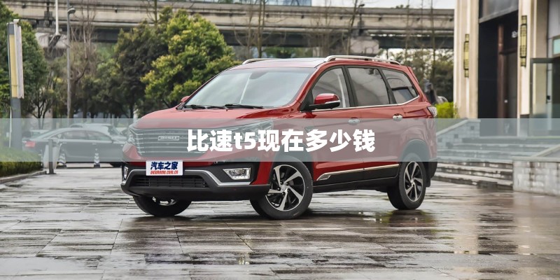 比速t5现在多少钱