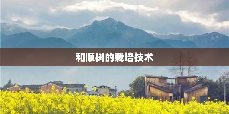 和顺树的栽培技术