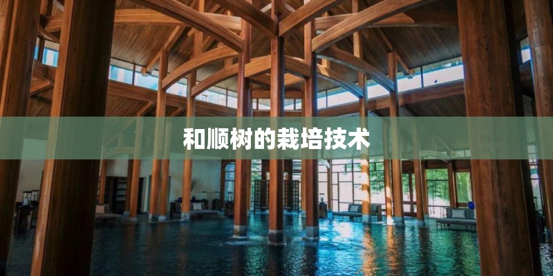 和顺树的栽培技术 和顺树的栽培技术