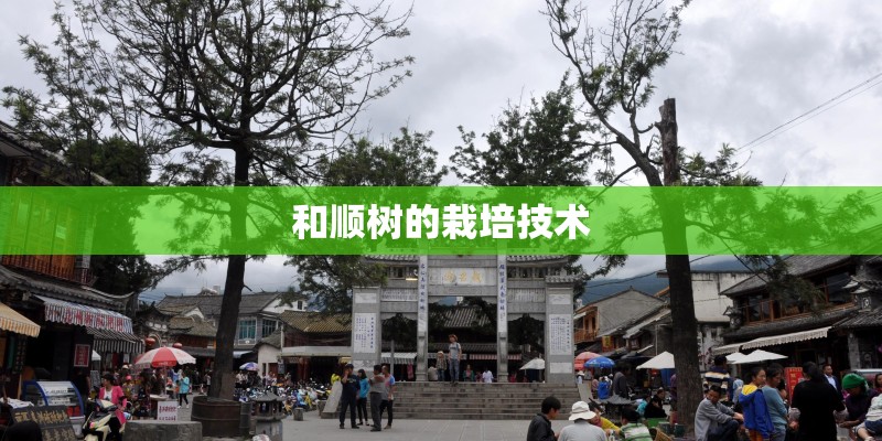 和顺树的栽培技术 和顺树的栽培技术