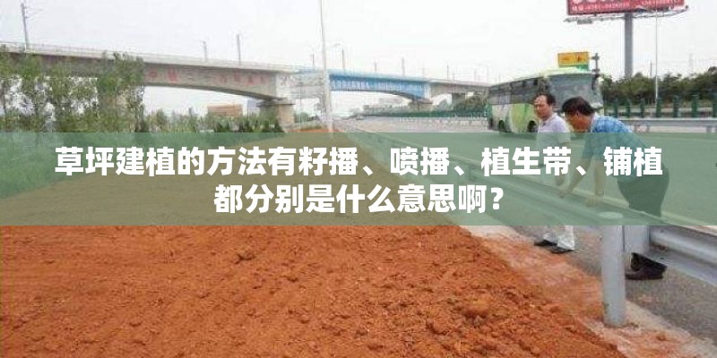 草坪建植的方法有籽播、喷播、植生带、铺植都分别是什么意思啊？