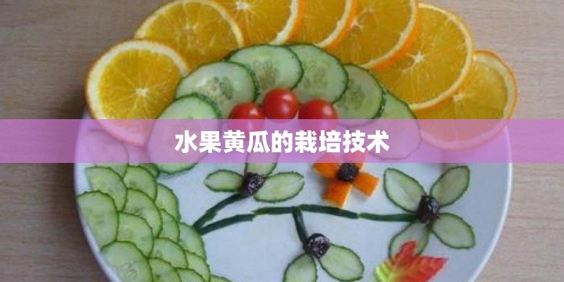 水果黄瓜的栽培技术