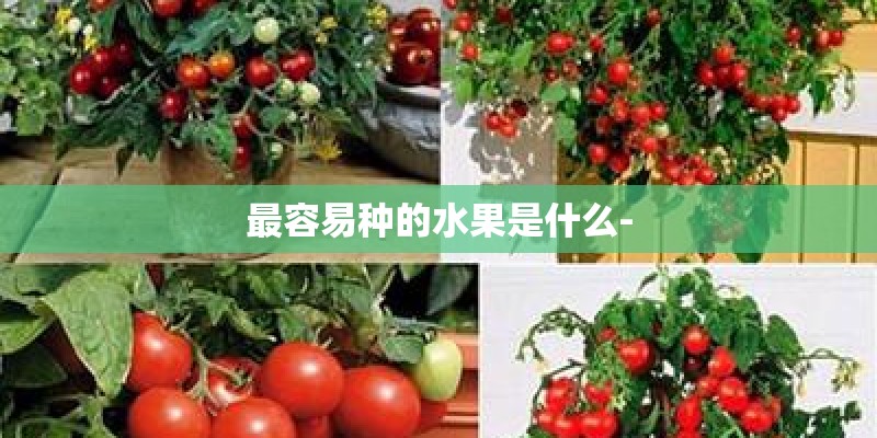 最容易种的水果是什么- 最容易种的水果是什么-