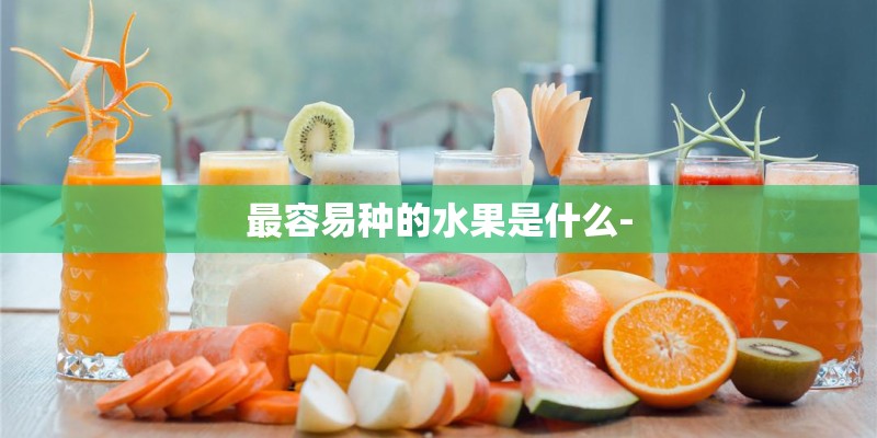 最容易种的水果是什么- 最容易种的水果是什么-