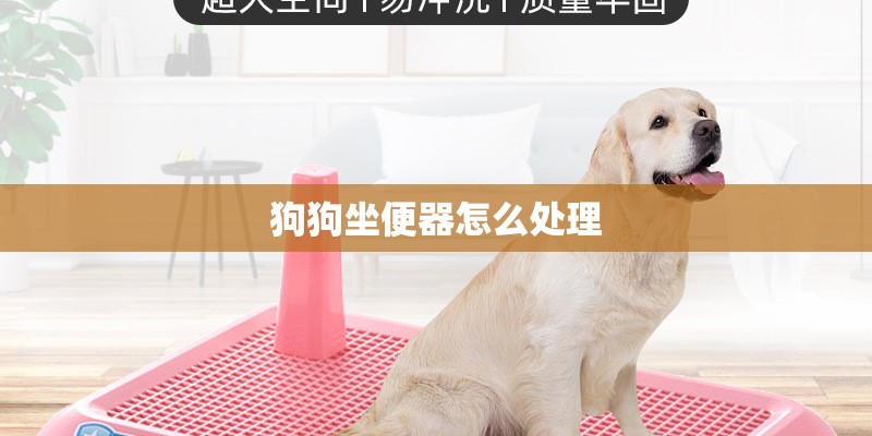 狗狗坐便器怎么处理