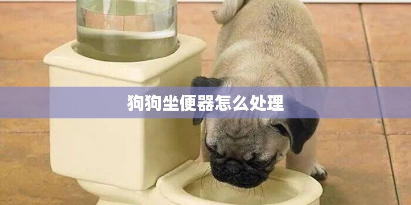 狗狗坐便器怎么处理 狗狗坐便器怎么处理