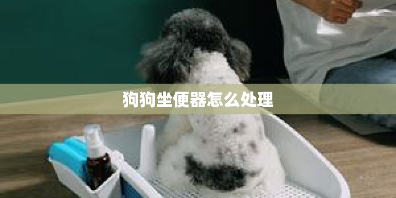 狗狗坐便器怎么处理 狗狗坐便器怎么处理