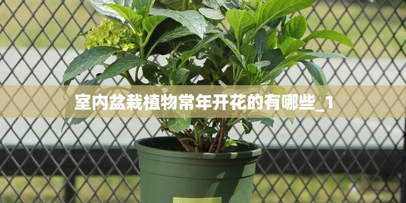 冰心10首很短的现代诗有哪些？