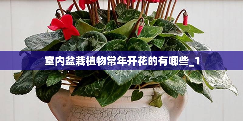 室内盆栽植物常年开花的有哪些_1 室内盆栽植物常年开花的有哪些_1