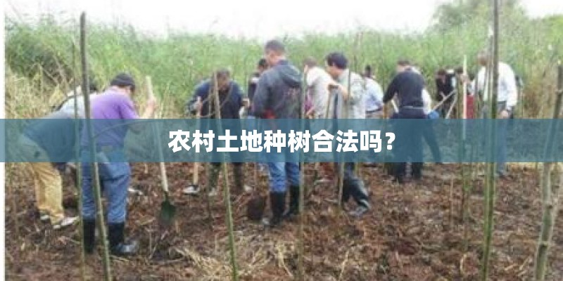 农村土地种树合法吗？