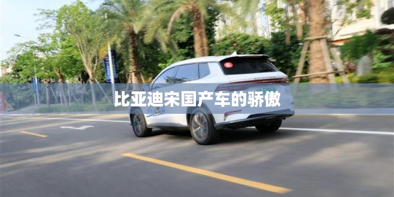 比亚迪宋国产车的骄傲