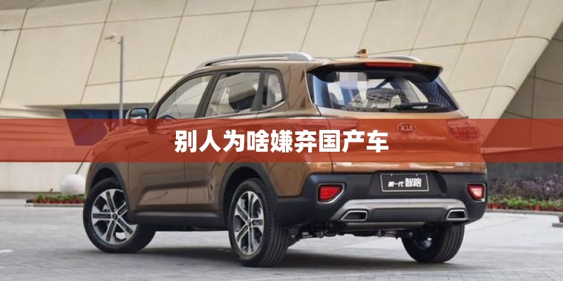 别人为啥嫌弃国产车
