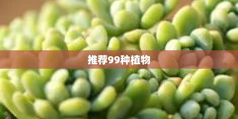 推荐99种植物
