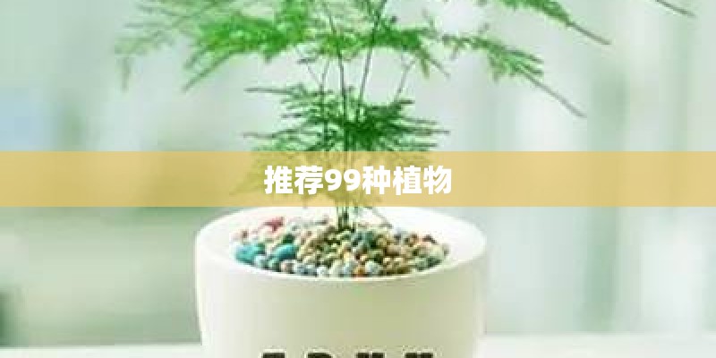 推荐99种植物