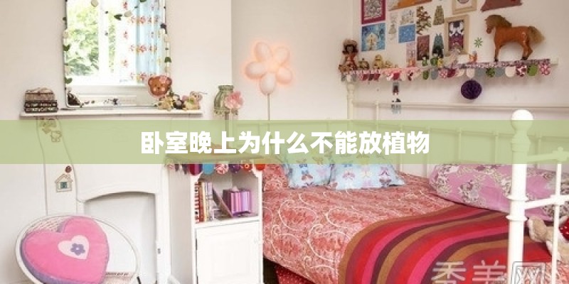 卧室晚上为什么不能放植物