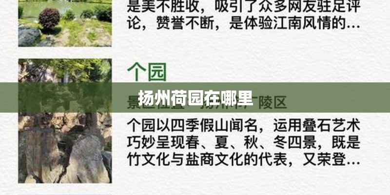 扬州荷园在哪里