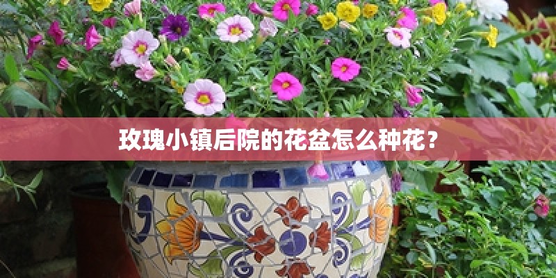 玫瑰小镇后院的花盆怎么种花？
