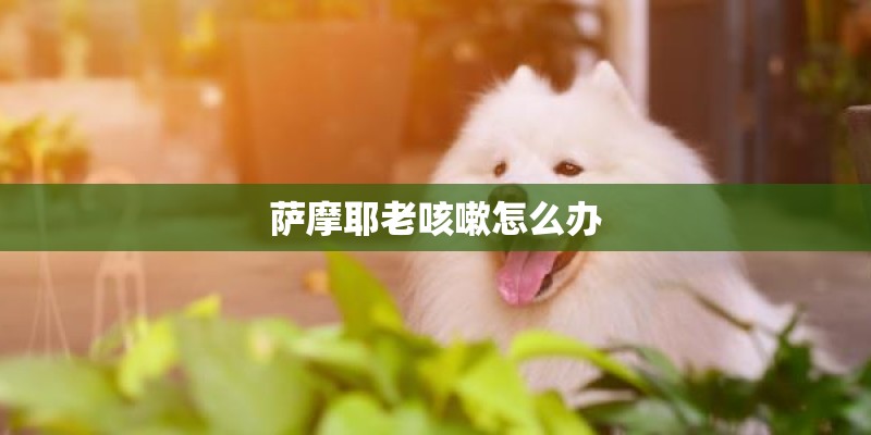 产品数据管理（PDM）和数据库系统有何区别？