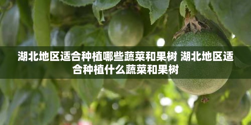 湖北地区适合种植哪些蔬菜和果树 湖北地区适合种植什么蔬菜和果树