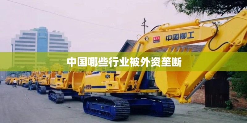 中国哪些行业被外资垄断