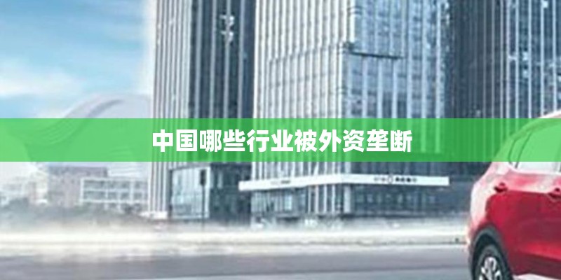 中国哪些行业被外资垄断