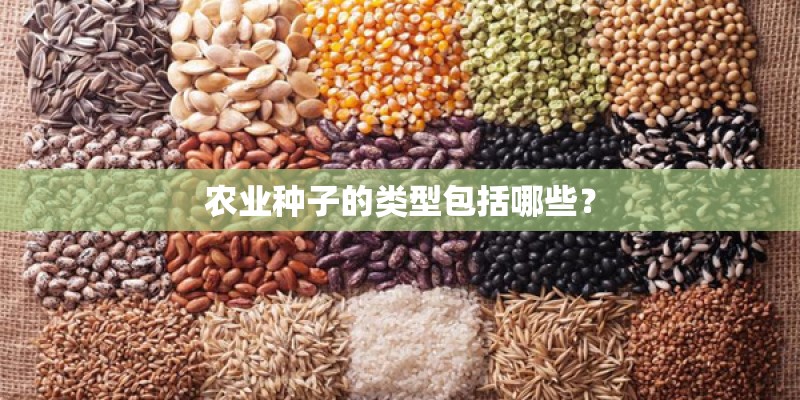 农业种子的类型包括哪些？