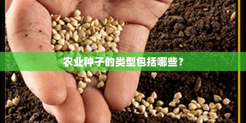 农业种子的类型包括哪些？