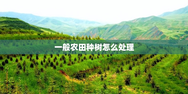 一般农田种树怎么处理