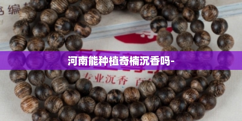 河南能种植奇楠沉香吗-
