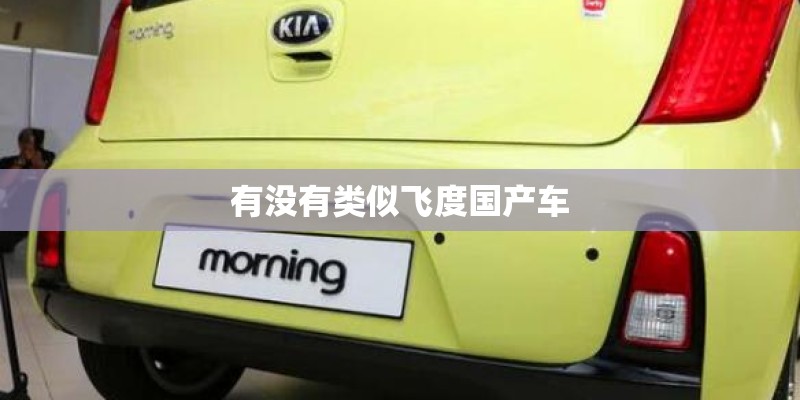 有没有类似飞度国产车 有没有类似飞度国产车
