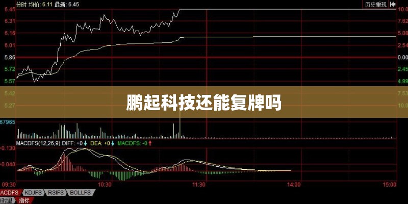 鹏起科技还能复牌吗