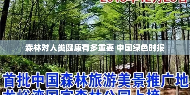 森林对人类健康有多重要 中国绿色时报