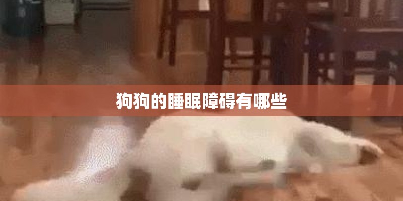 狗狗的睡眠障碍有哪些