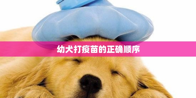 幼犬打疫苗的正确顺序