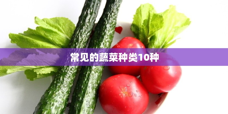 常见的蔬菜种类10种