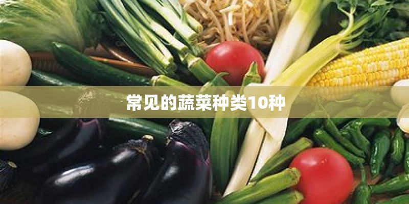 常见的蔬菜种类10种 常见的蔬菜种类10种