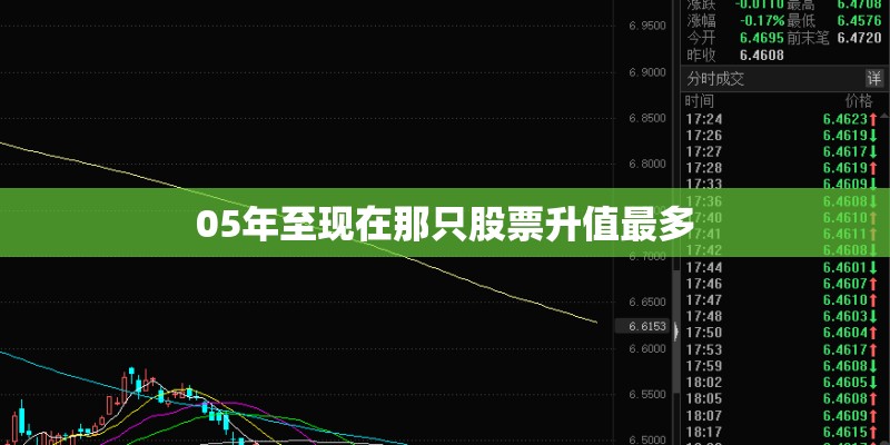 05年至现在那只股票升值最多