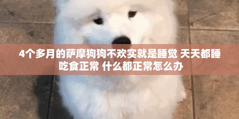 4个多月的萨摩狗狗不欢实就是睡觉 天天都睡 吃食正常 什么都正常怎么办