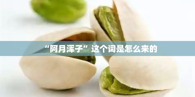 “阿月浑子”这个词是怎么来的