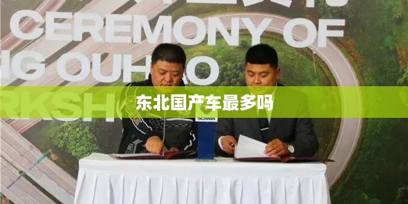 东北国产车最多吗
