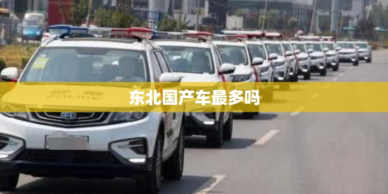 东北国产车最多吗