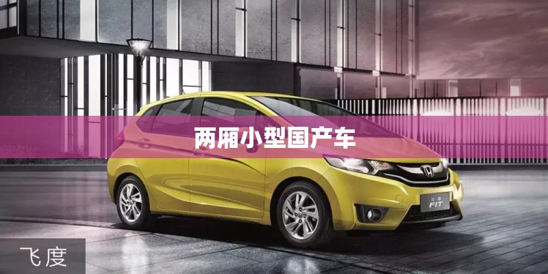 两厢小型国产车